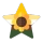 sunflowergender